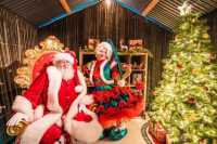 培多克球場假日市集:與聖誕老人見面 & 魔法燈光秀