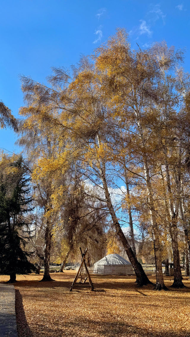 感謝今天的大晴天，昨天下午到的時候還飄著雨