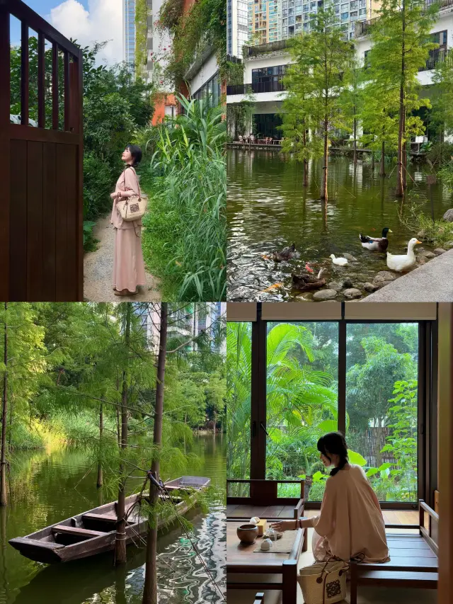 In Shenzhen, I found a place where time slows down