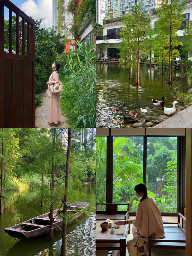 在深圳,找到了一個能讓時間慢下來的地方 在深圳,找到了一個能讓時間慢下來的地方