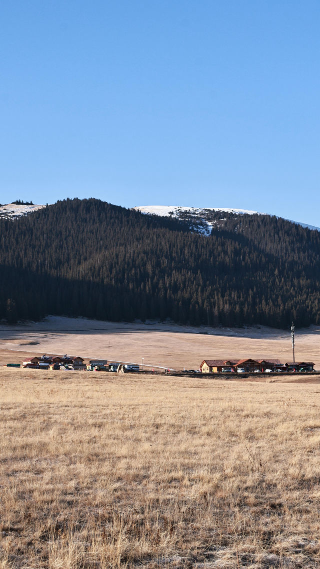 對於在成都忙碌的打工人來說，賽里木湖絕對是讓你暫時逃離都市喧囂、 recharge 能量的完美選擇。