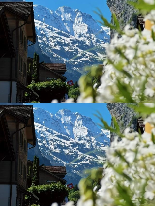 是誰闖入了瑞士少女峰的童話世界裡！