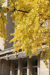 全球僅6家、中國唯一一家索菲特傳奇酒店！