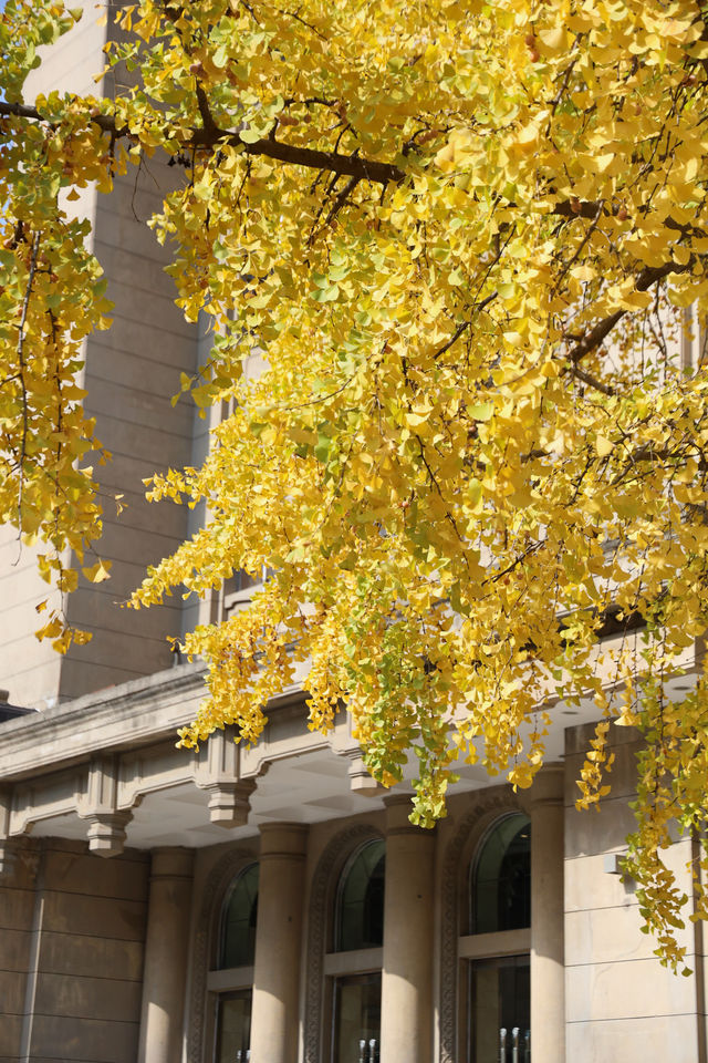 全球僅6家、中國唯一一家索菲特傳奇酒店！