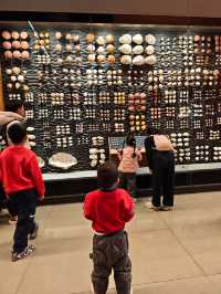 我認證過的全國最好的自然博物館