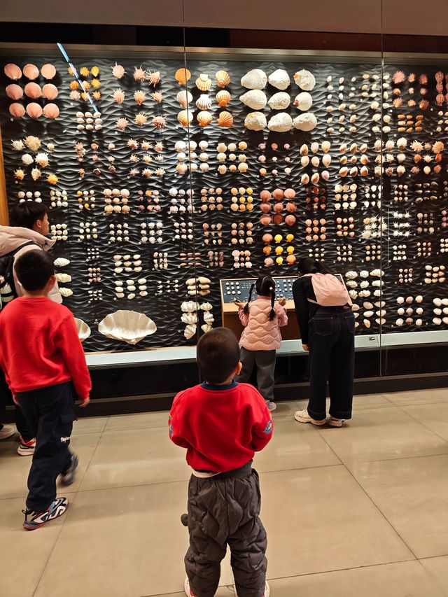 我認證過的全國最好的自然博物館