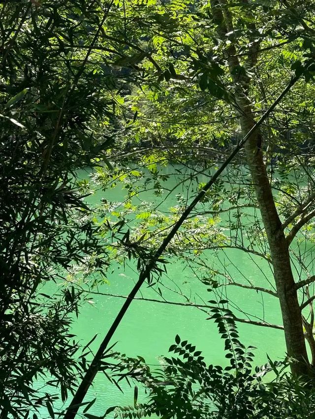 4天玩轉安順等地攻略收好別走丟