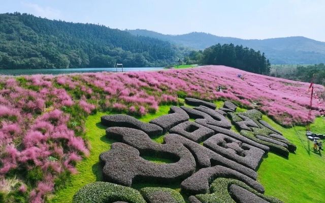 歡迎來銀杏湖遊玩