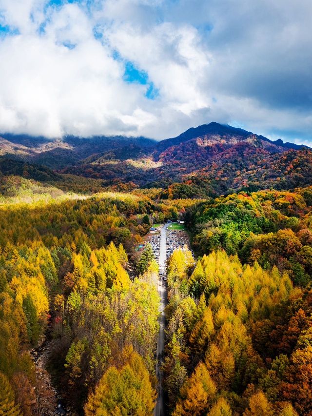 2025光霧山紅葉節，錯過等一年！