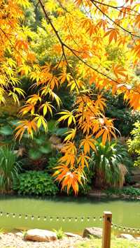 快來打卡！溫州神秘東爐村