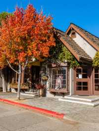 農曆新年外遊打卡美國經典一號公路