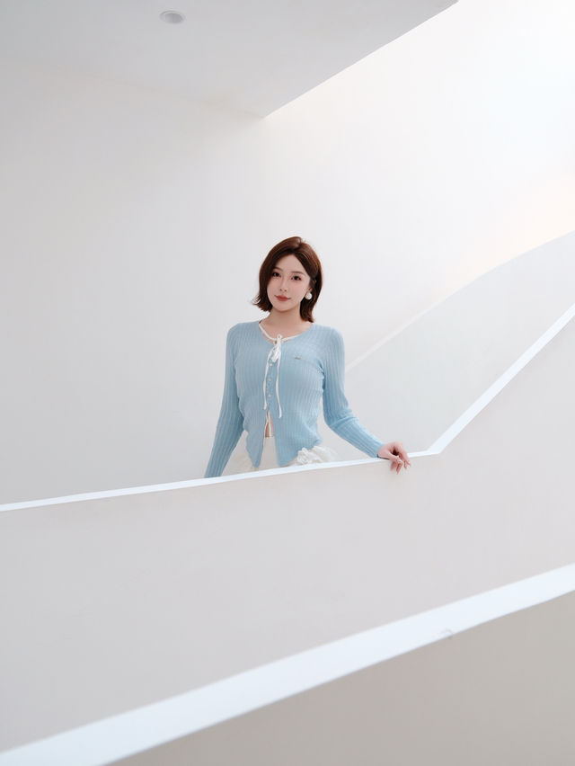 週末自駕莫干山帶毛孩子一起撒歡