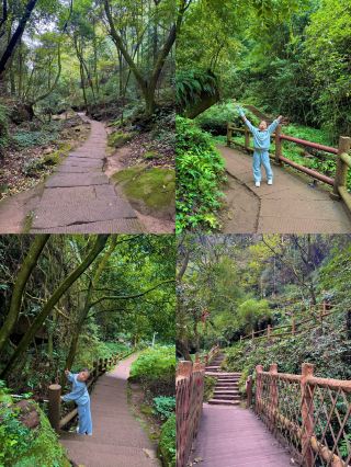 Take the kids for oxygen! A 1.5-hour direct forest hiking route from Chengdu