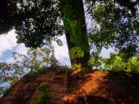 雨過天晴的自貢鳶山公園
