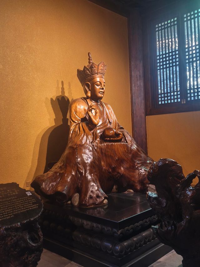 浙江衢州根宮佛國根與佛交織的夢幻之境