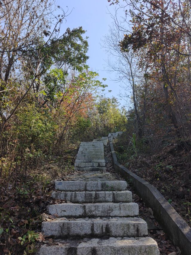 挖到一條寶藏秋遊採橘子路線！