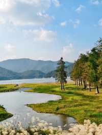 上海3h直達!初冬闖入畫龍村,在浙東古道邂逅瀑布梯田與治癒