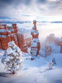 不趕路暢玩國家公園!美西定制包車路線可調