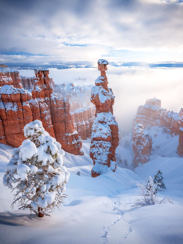 不趕路暢玩國家公園!美西定制包車路線可調 不趕路暢玩國家公園!美西定制包車路線可調
