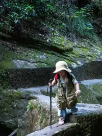 武夷山｜巖骨花香漫遊道｜