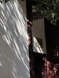 絕美莫愁湖打卡攻略