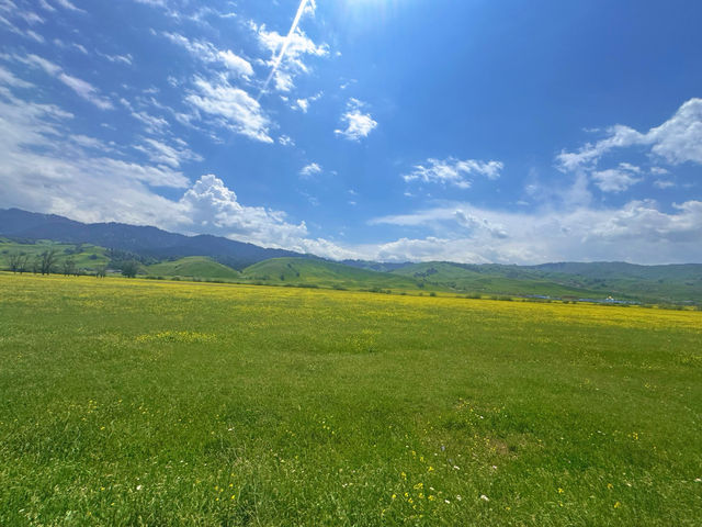 去掉濾鏡的新疆旅行——第十天 去掉濾鏡的新疆旅行——第十天