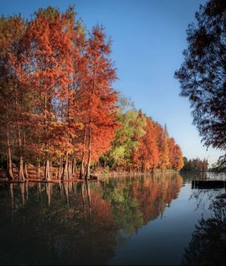 皖北秋日封神 逛遍4大秘境 人少景美還出片