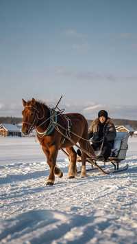 邂逅北極村極寒