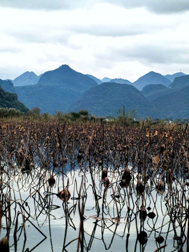 雲南行記:非遺路上邂逅普者黑的山河浪漫 奔赴雲南非遺之約的途中,竟與普者黑撞了個滿懷!這裡的山水 雲南行記:非遺路上邂逅普者黑的山河浪漫 奔赴雲南非遺之約的途中,竟與普者黑撞了個滿懷!這裡的山水