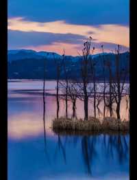 絕美日落觀鳥地