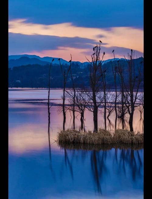 絕美日落觀鳥地