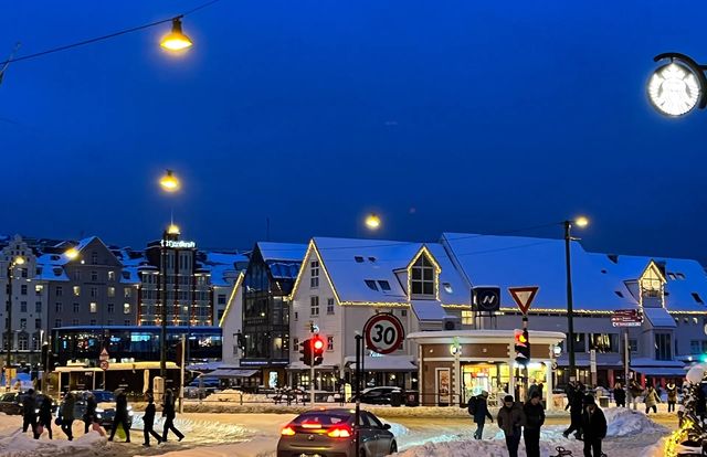 被極光親吻過的北國淨土，雪峰與森林交織成花卷。—挪威