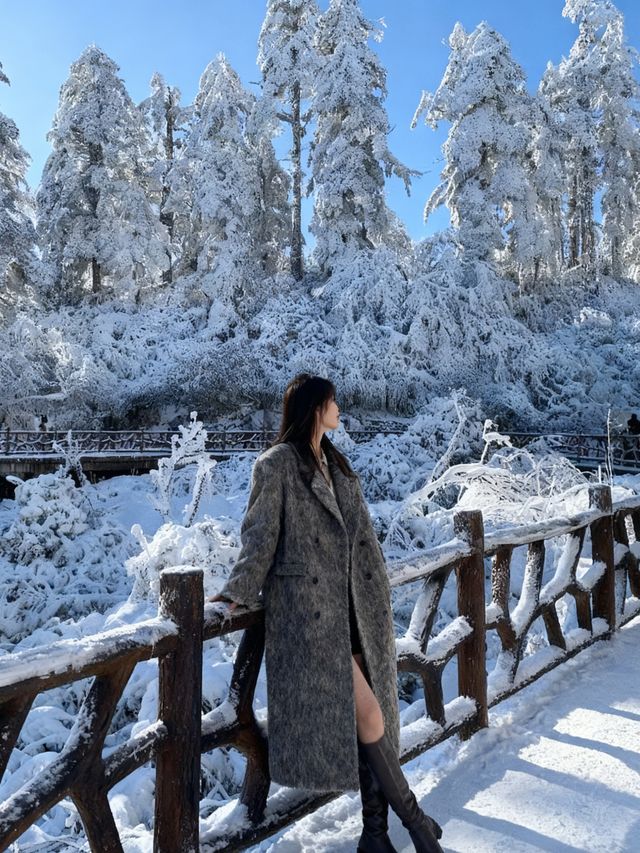 瓦屋山雪已就位！成都自駕3h直達的冰雪快樂，霧淞、冰瀑、滑雪全拿捏，新手閉眼衝的攻略整理好啦，趕緊碼