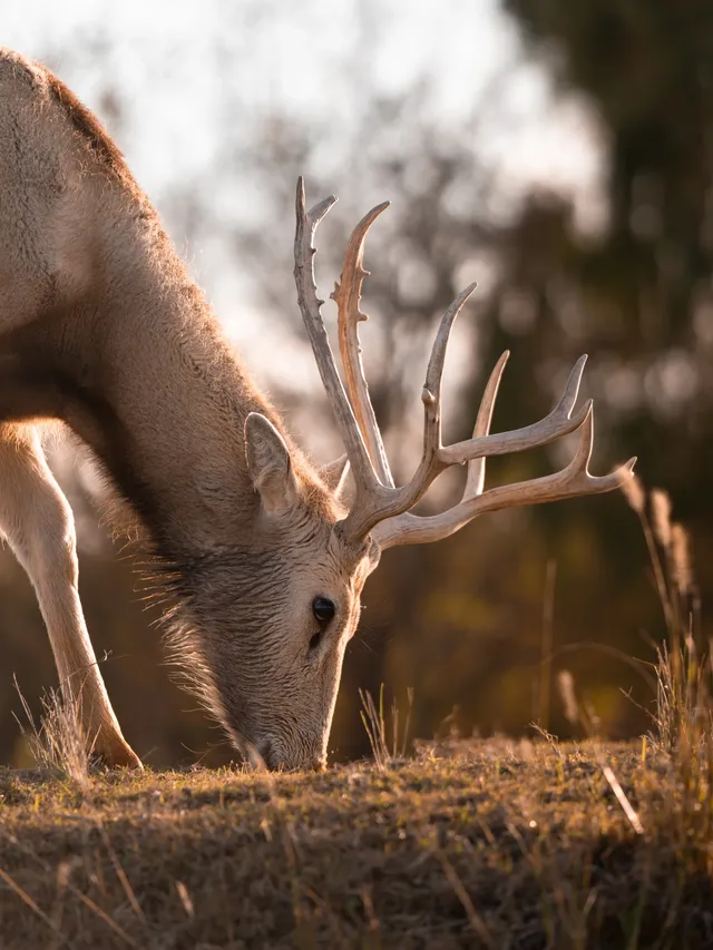 鹽城丨朋友都以為我去了肯尼亞 鹽城丨朋友都以為我去了肯尼亞
