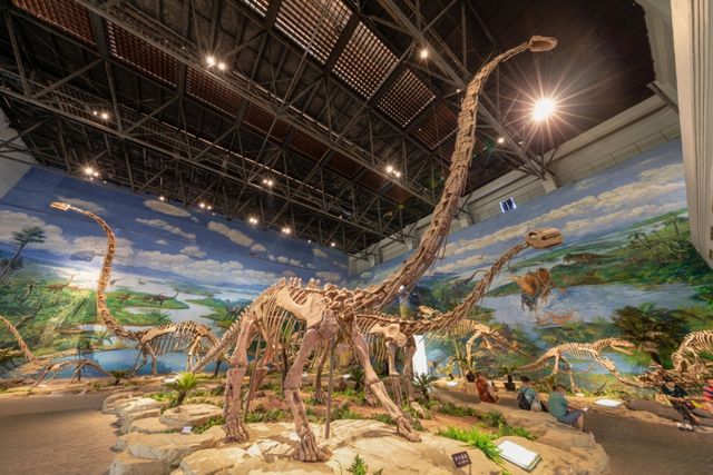 穿越兩億年的溫柔叩門聆聽時間破碎的聲音 穿越兩億年的溫柔叩門聆聽時間破碎的聲音