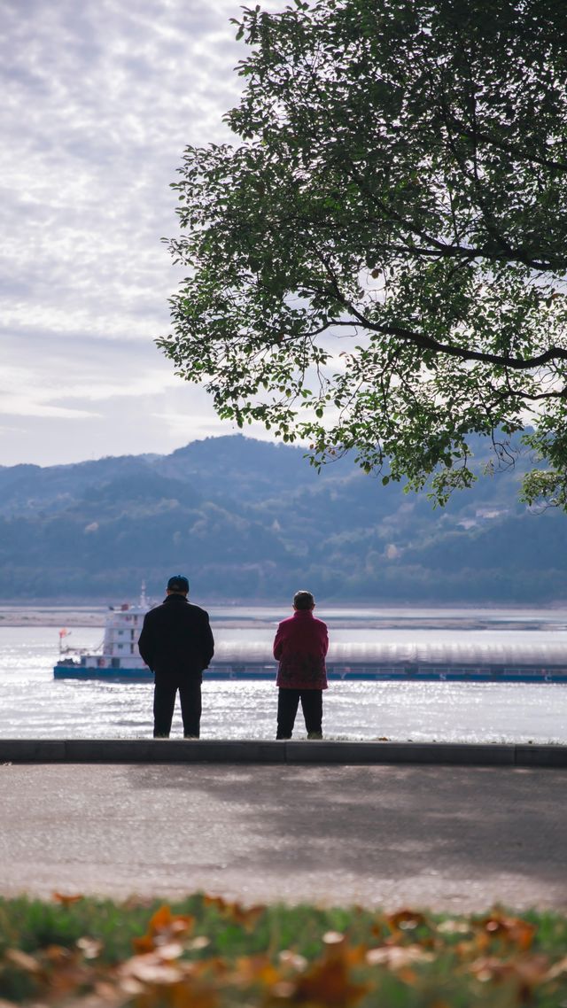 宜昌濱江:在長江岸線,邂逅老工業與深秋的詩意共鳴 宜昌濱江:在長江岸線,邂逅老工業與深秋的詩意共鳴