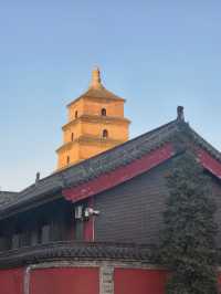 深秋初冬的西安大雁塔半日遊也太愜意了吧！