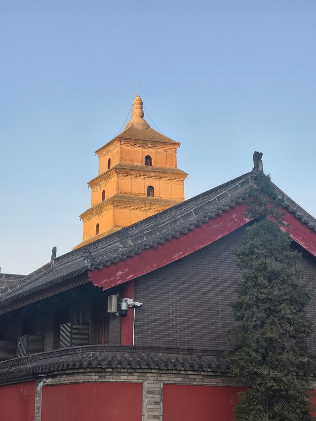 深秋初冬的西安大雁塔半日遊也太愜意了吧！