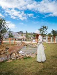 廣州版阿那亞！冬日繁華+牛羊牧場太治癒！