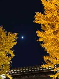 惠山古鎮免費遊玩攻略！秋日限定美景+精華路線