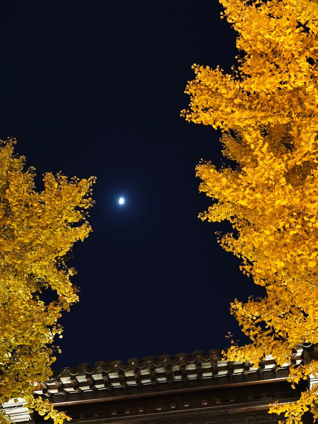 惠山古鎮免費遊玩攻略！秋日限定美景+精華路線