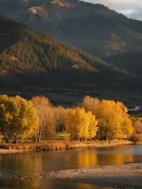 12月廣西親子遊｜懸崖書店奇幻之旅