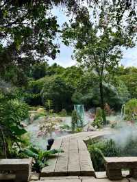 城市中心的氧吧🫧