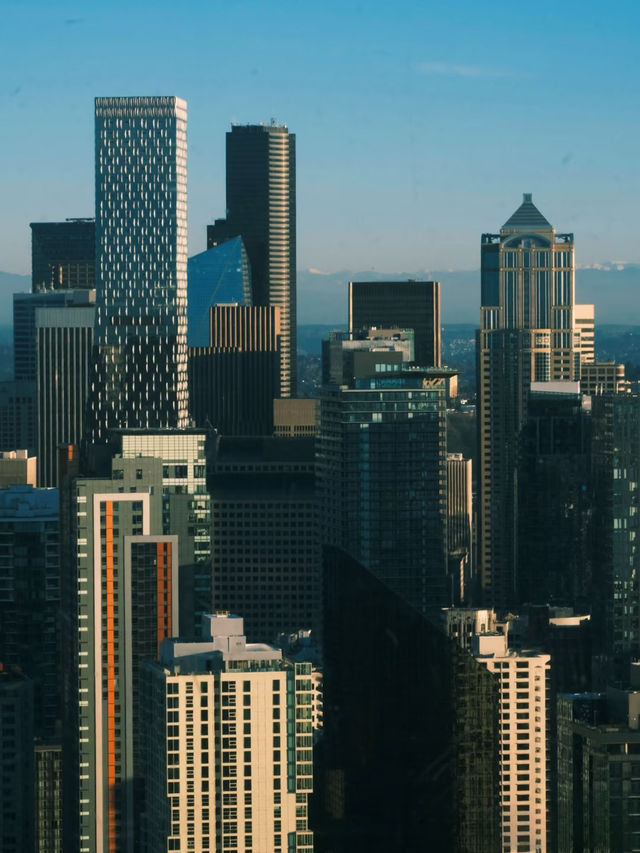 好好好你們西雅圖人有自己的富士山是吧