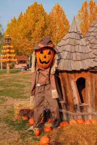 北京遛娃丨森林中的童話世界,地鐵直達!!