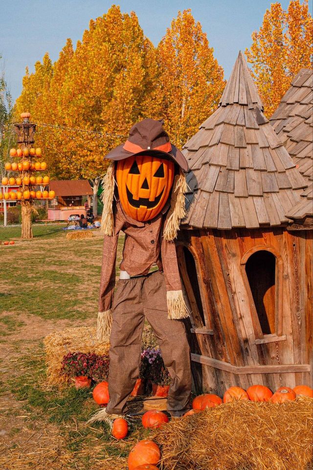 北京遛娃丨森林中的童話世界,地鐵直達!! 北京遛娃丨森林中的童話世界,地鐵直達!!