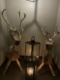 芬蘭赫爾辛基!住到了人生中的漂亮酒店!