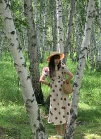 藍天白雲下的童話秘境內蒙古的森林草原童話