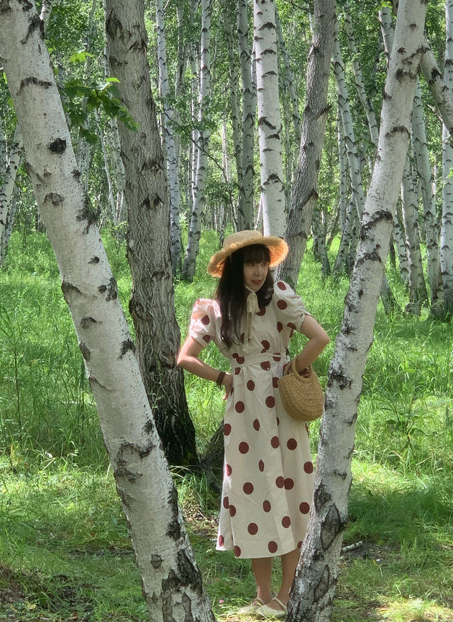 藍天白雲下的童話秘境內蒙古的森林草原童話 藍天白雲下的童話秘境內蒙古的森林草原童話