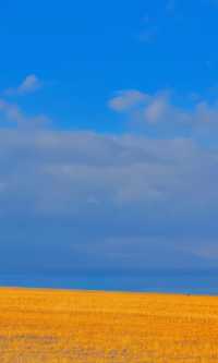 賽里木湖秋日環湖終極攻略 | 闖入一場盛大的金色夢境